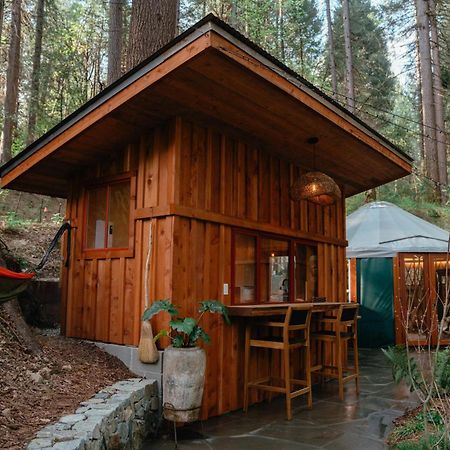 Magical Yurt In The Woods - 2 Miles From Town Hotell Nevada City Eksteriør bilde