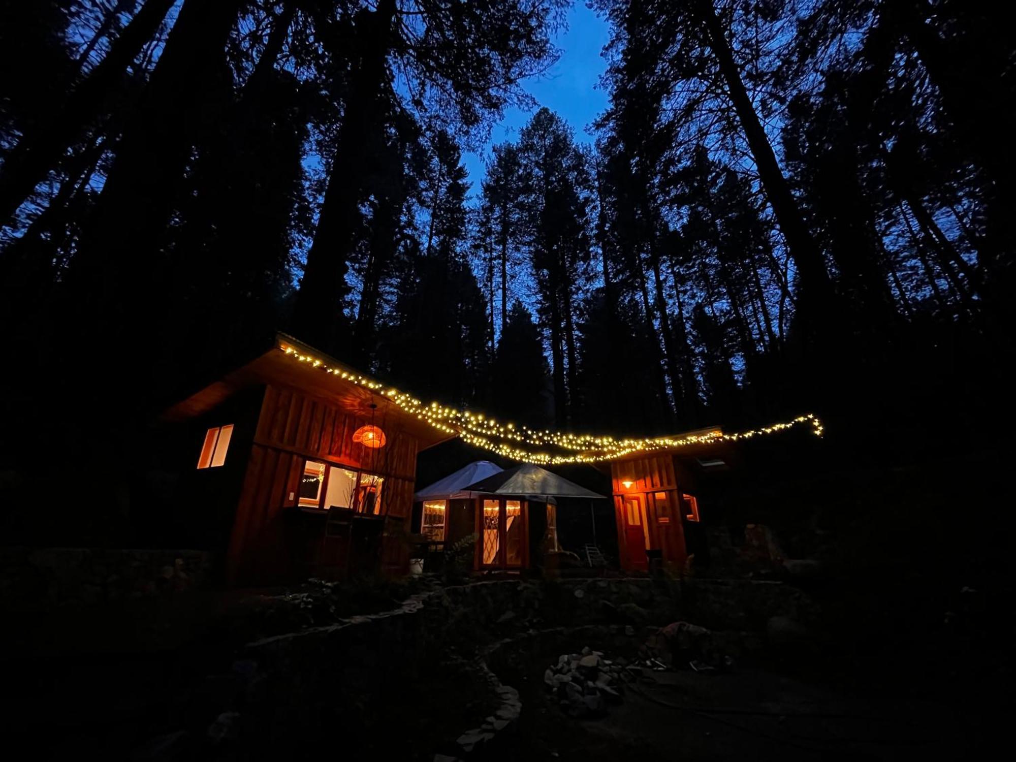 Magical Yurt In The Woods - 2 Miles From Town Hotell Nevada City Eksteriør bilde