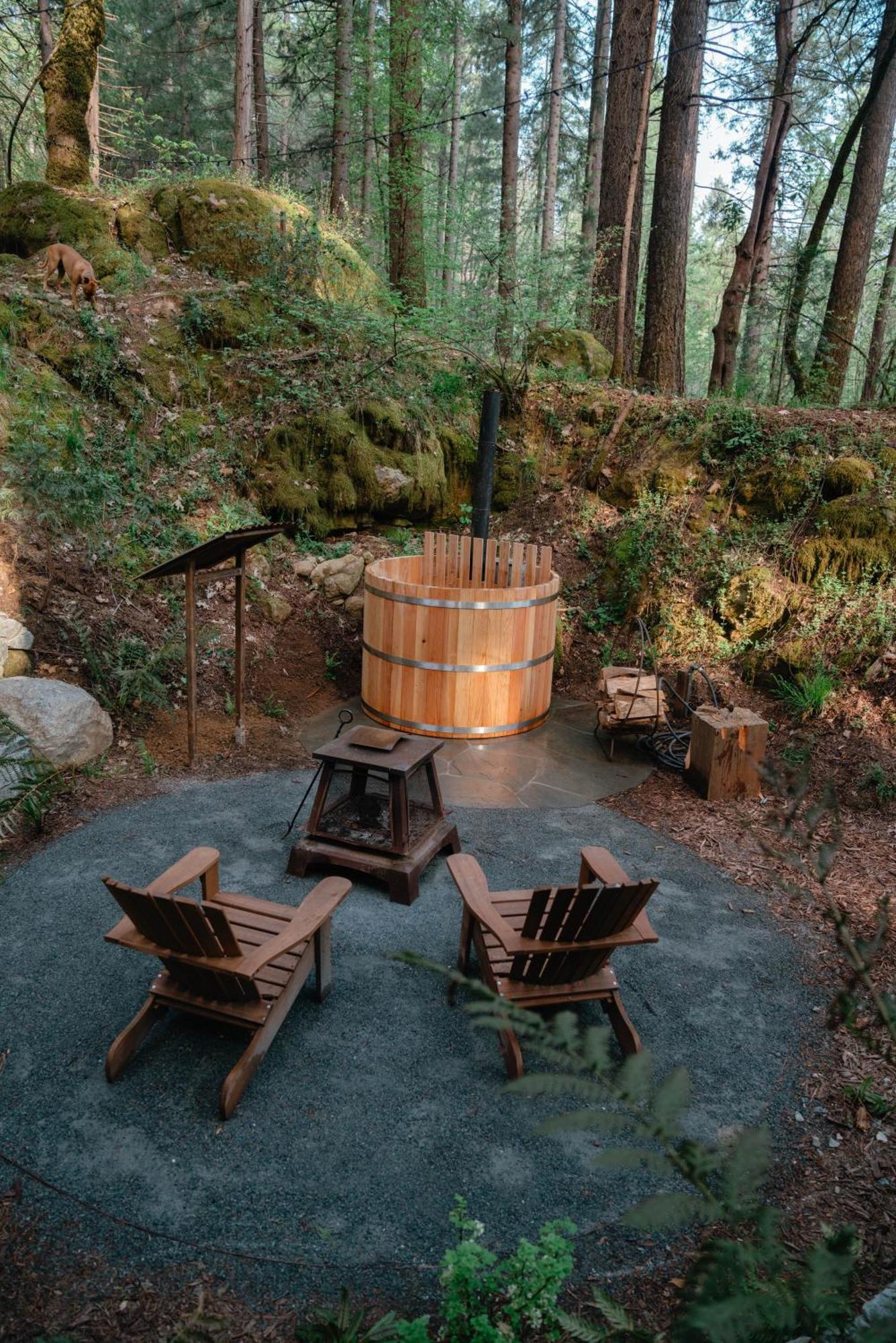 Magical Yurt In The Woods - 2 Miles From Town Hotell Nevada City Eksteriør bilde